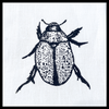 Black Beetle Handprinted Napkins