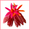 Exotic Blooms Earrings - Pink Feathers